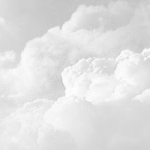 Header Banner Movies