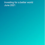 The ESG & Sustainable Investment Webinar 2021 300×600