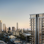 Swan on Chevron Gold Coast 1