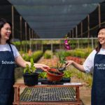 ANEXT Bank & Schroders