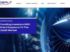 Cobalt Holdings