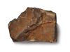 Sotheby’s Mars Meteorite (NWA 16788)