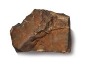 Sotheby’s Mars Meteorite (NWA 16788)