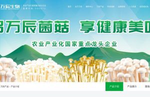Fujian Wanchen Biotechnology