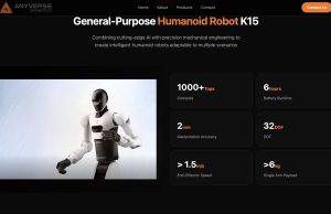 Anyverse Dynamics